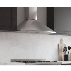 Extractor purificador TST